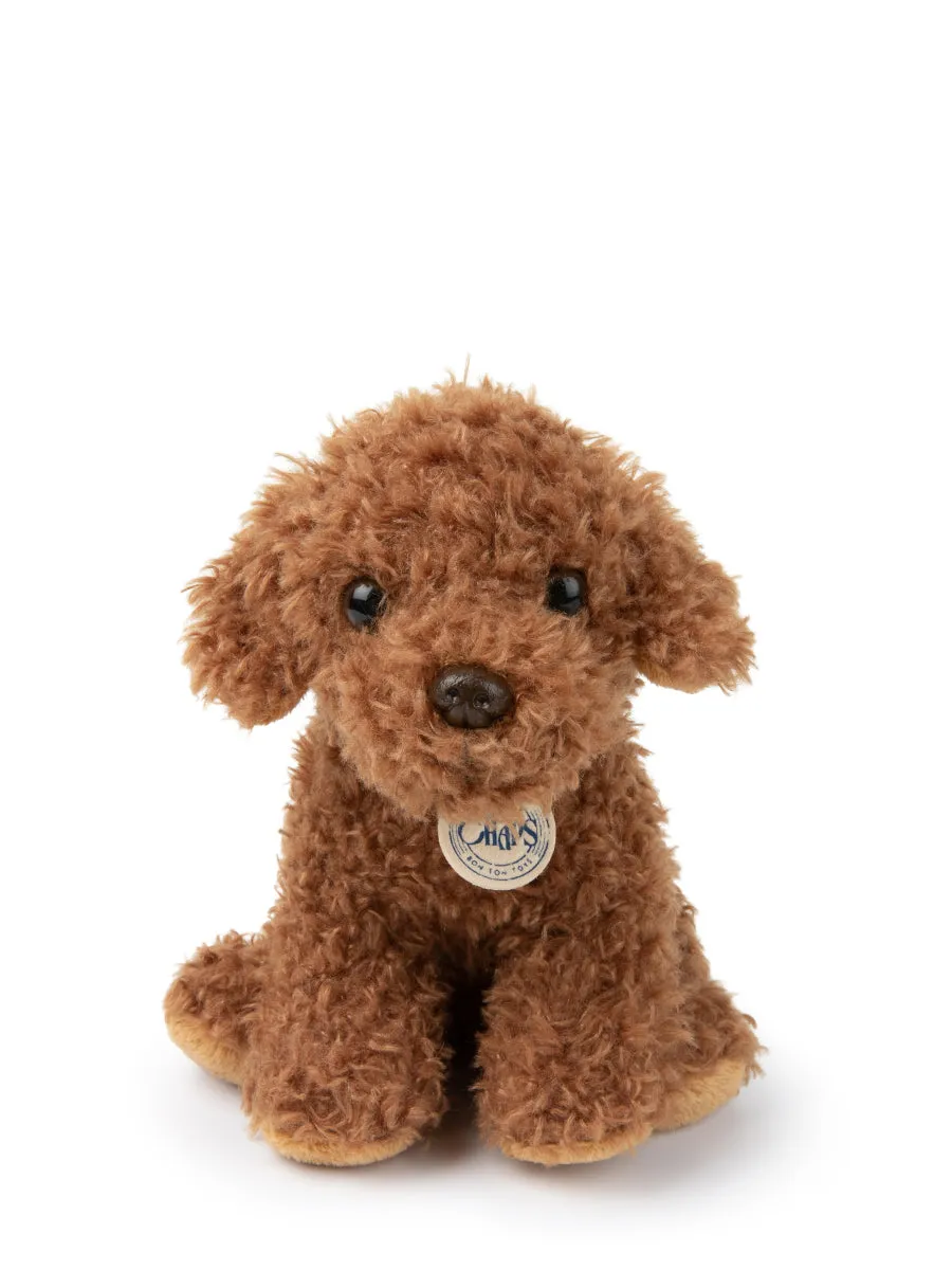 B.T. Chaps - Stacy The Labradoodle In Giftbox