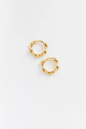 Cove Bracha Hoops