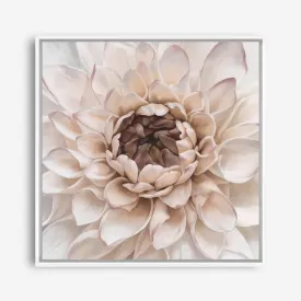 Divine Dahlia IV (Square) Canvas Print